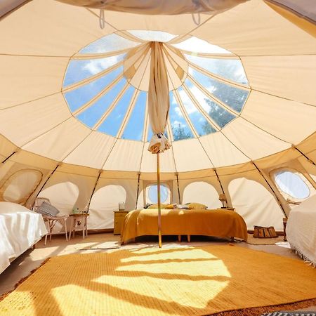Eco Ceiba Hotel Busque Екстериор снимка