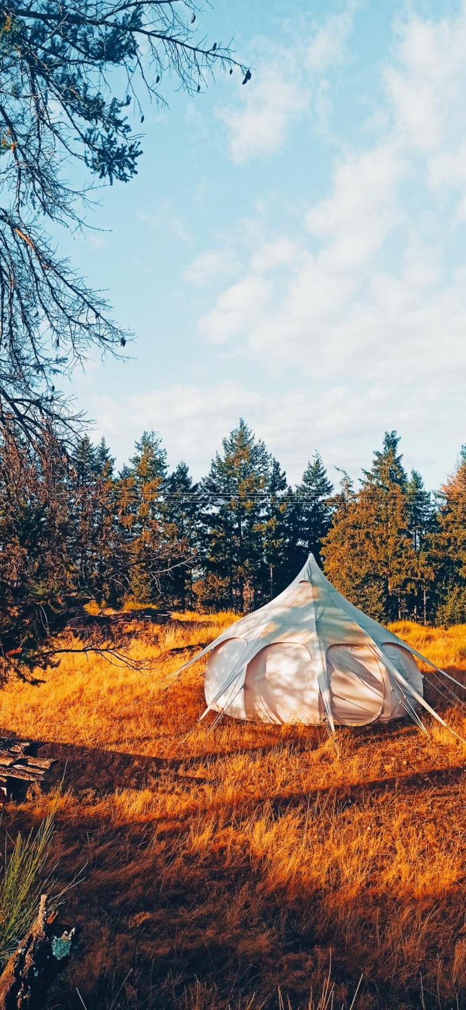 Eco Ceiba Hotel Busque Екстериор снимка