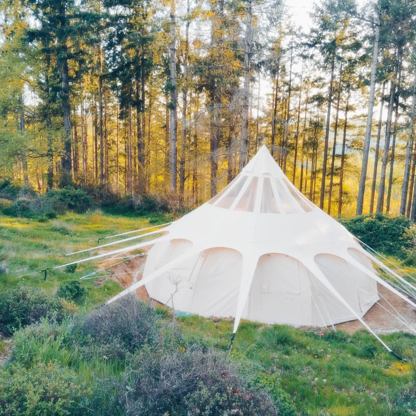 Eco Ceiba Hotel Busque Екстериор снимка